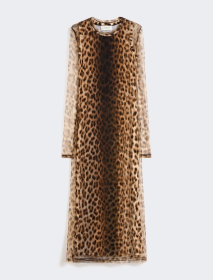 Fitted tulle jersey dress - BEIGE SHADED - Sportmax