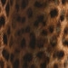 BEIGE SHADED