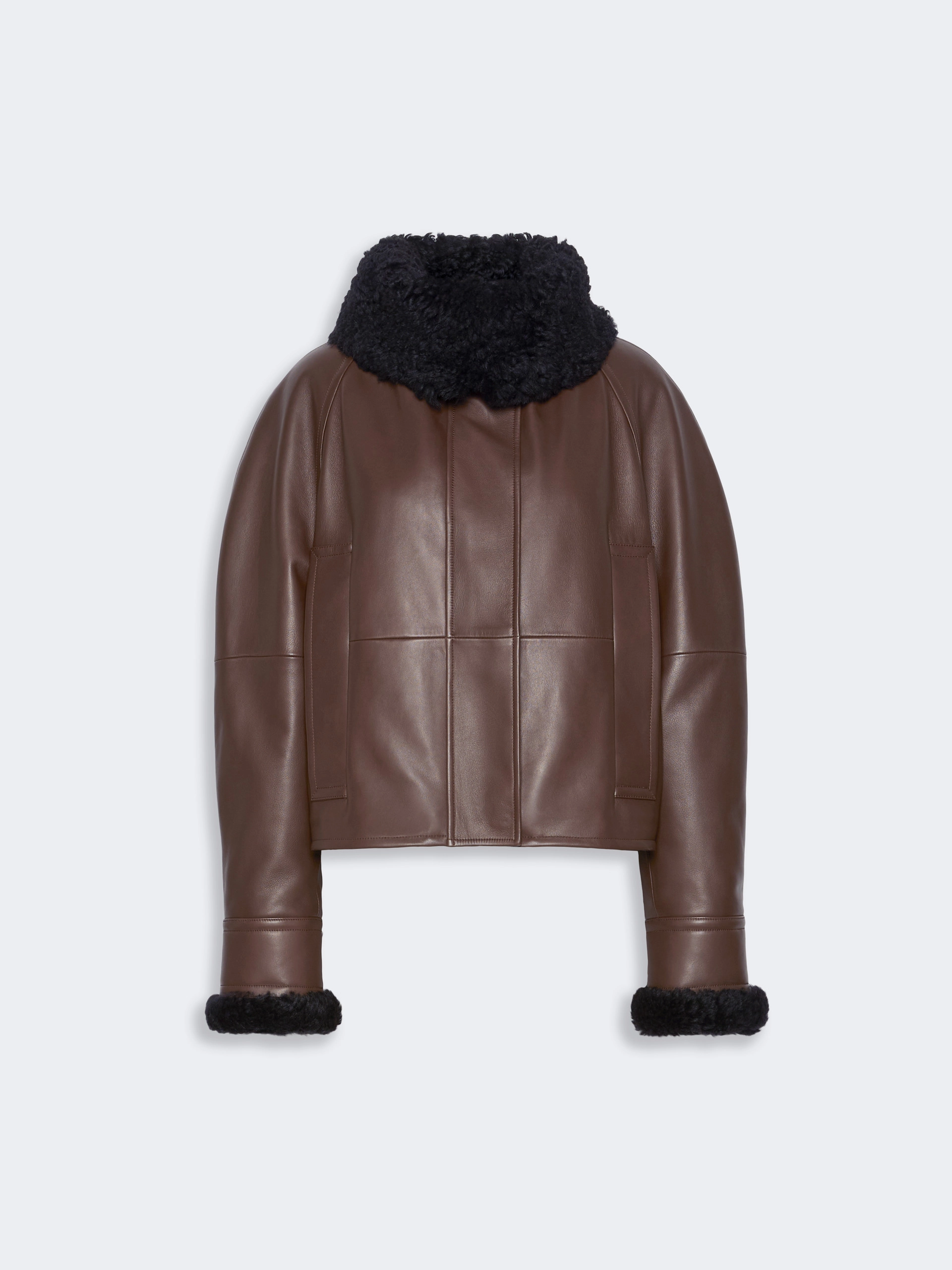 Short padded leather jacket - COFFEE - Sportmax - 6