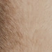MUD